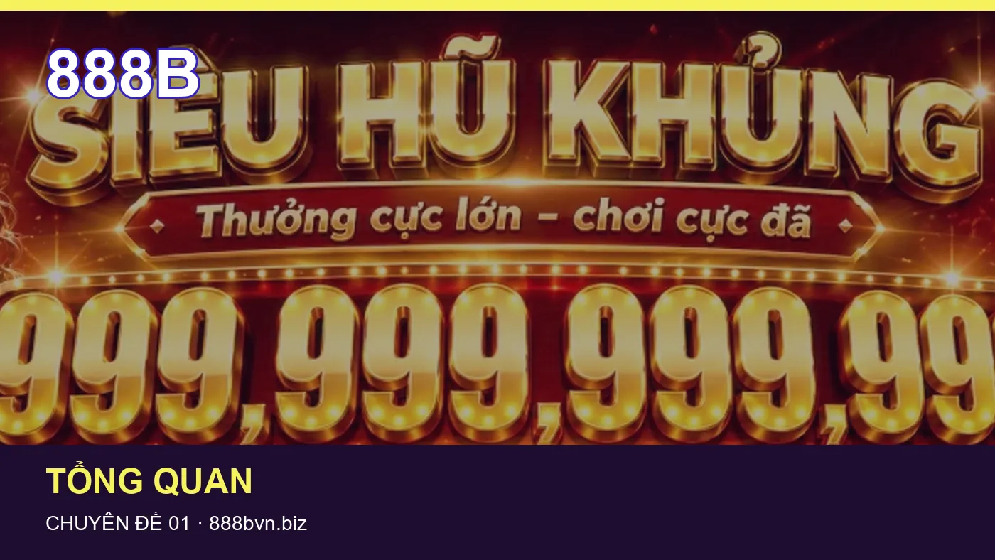 Ứng dụng: những thuật ngữ cần hiểu khi tra cứu 888B